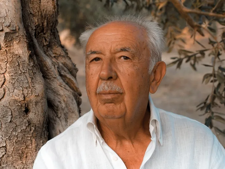 Domenico Palmieri