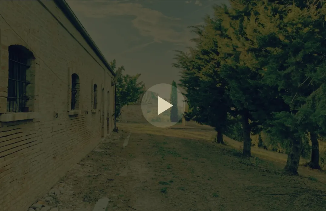 Video Azienda Palmieri